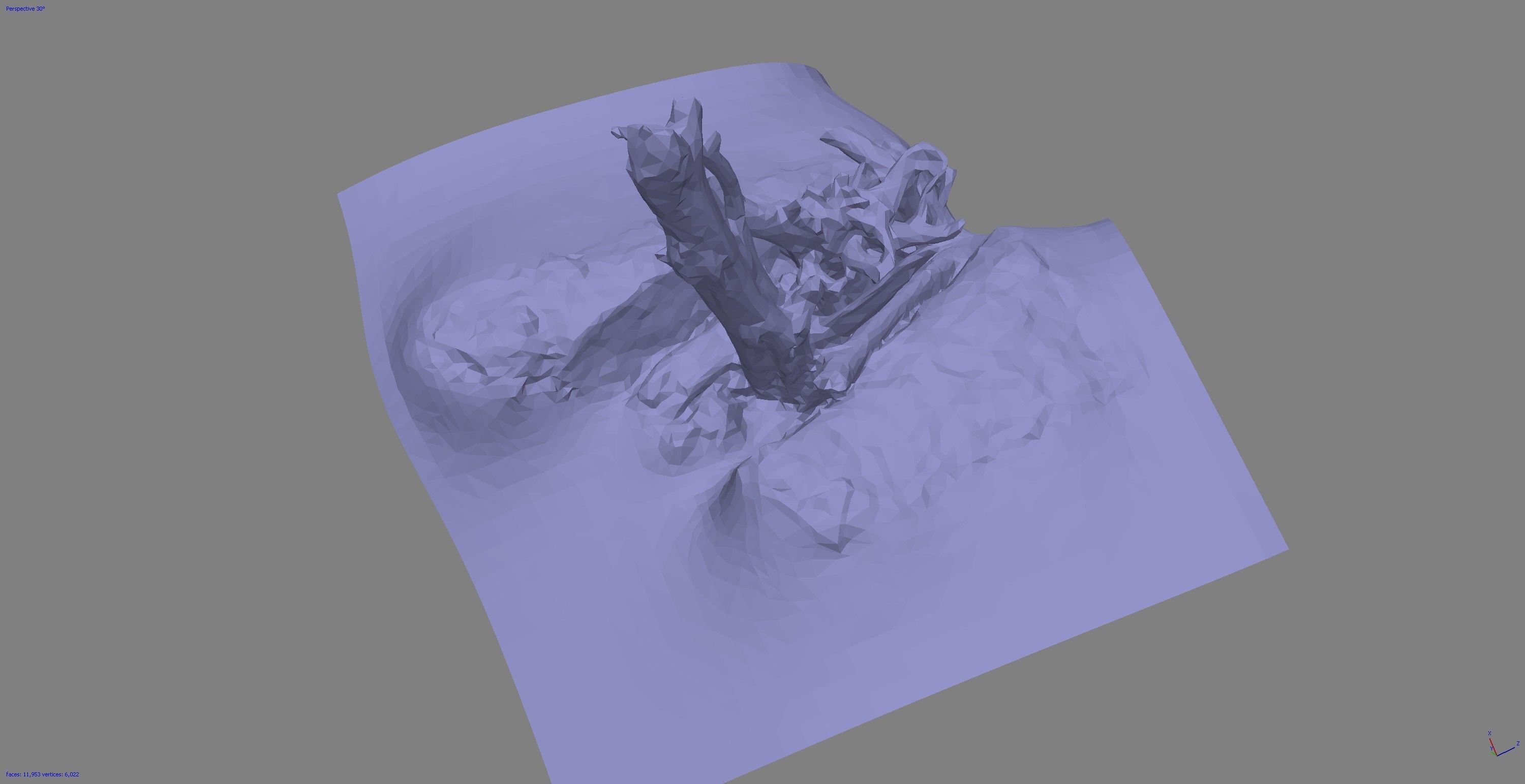 Dead tree on a rock Free low-poly 3D model_24