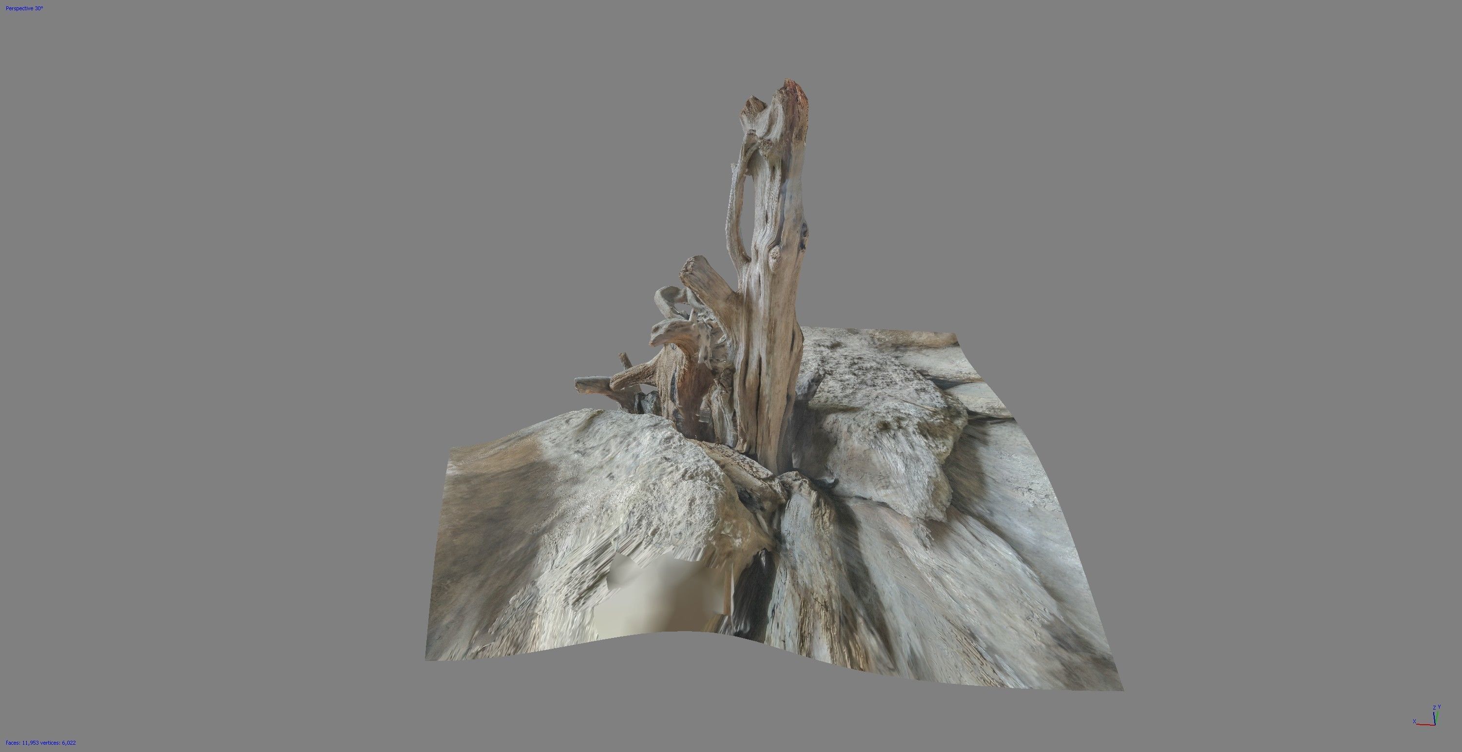 Dead tree on a rock Free low-poly 3D model_7