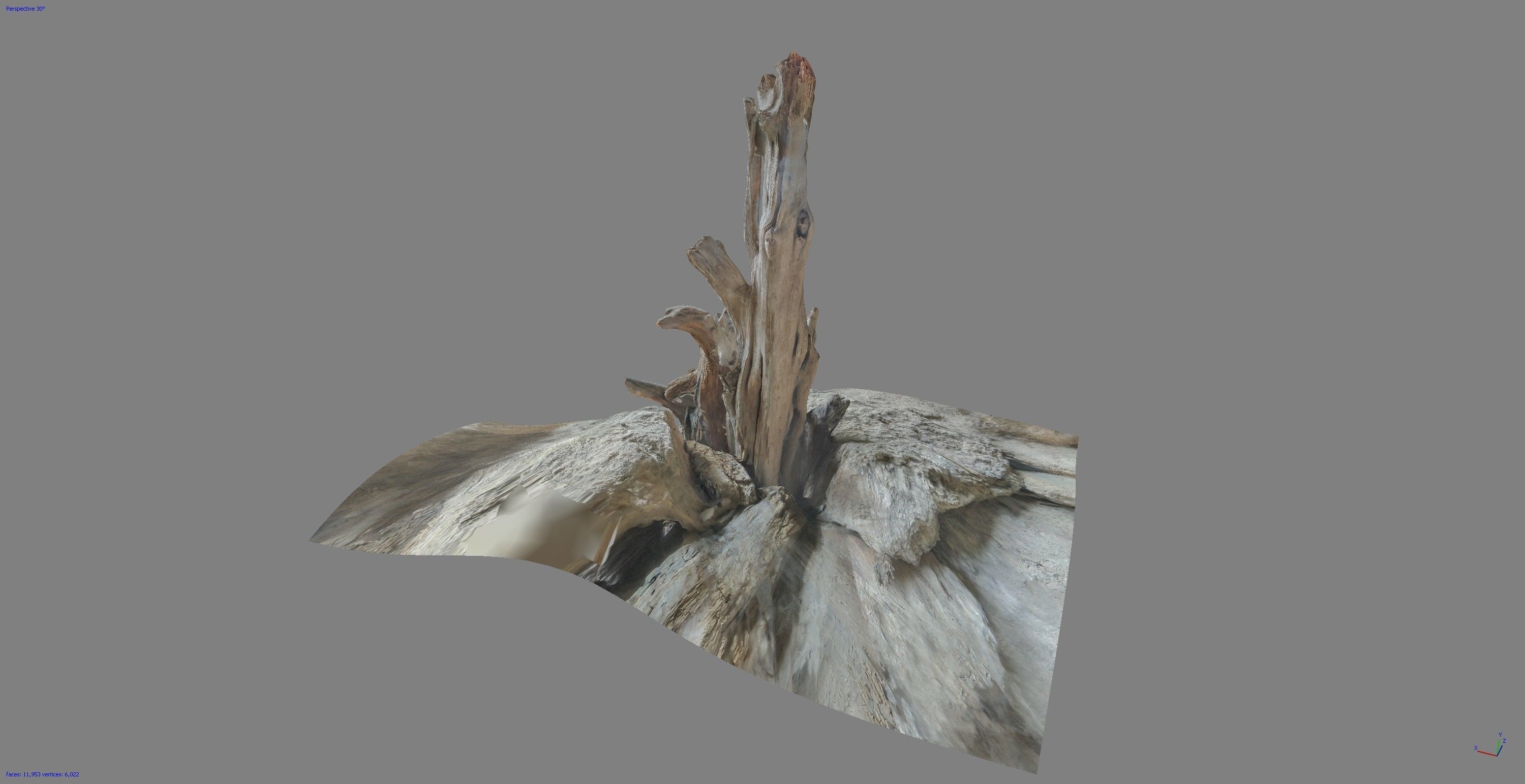 Dead tree on a rock Free low-poly 3D model_6