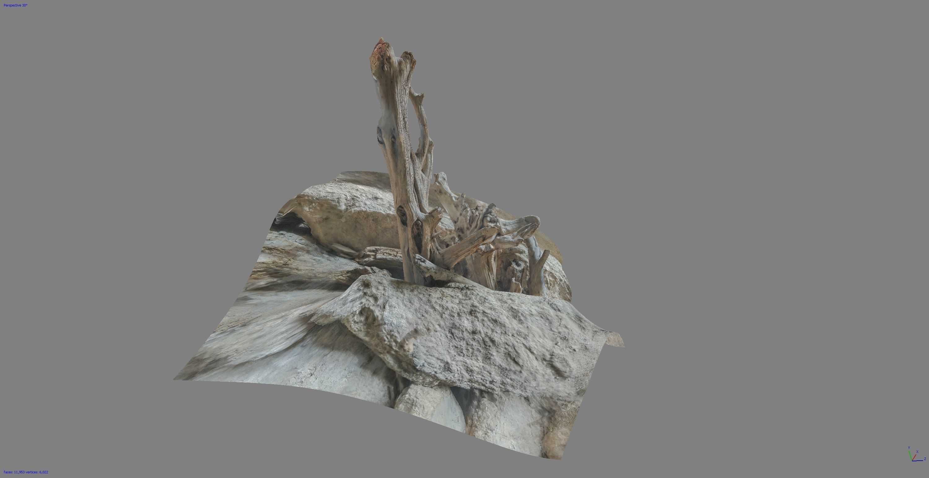 Dead tree on a rock Free low-poly 3D model_3