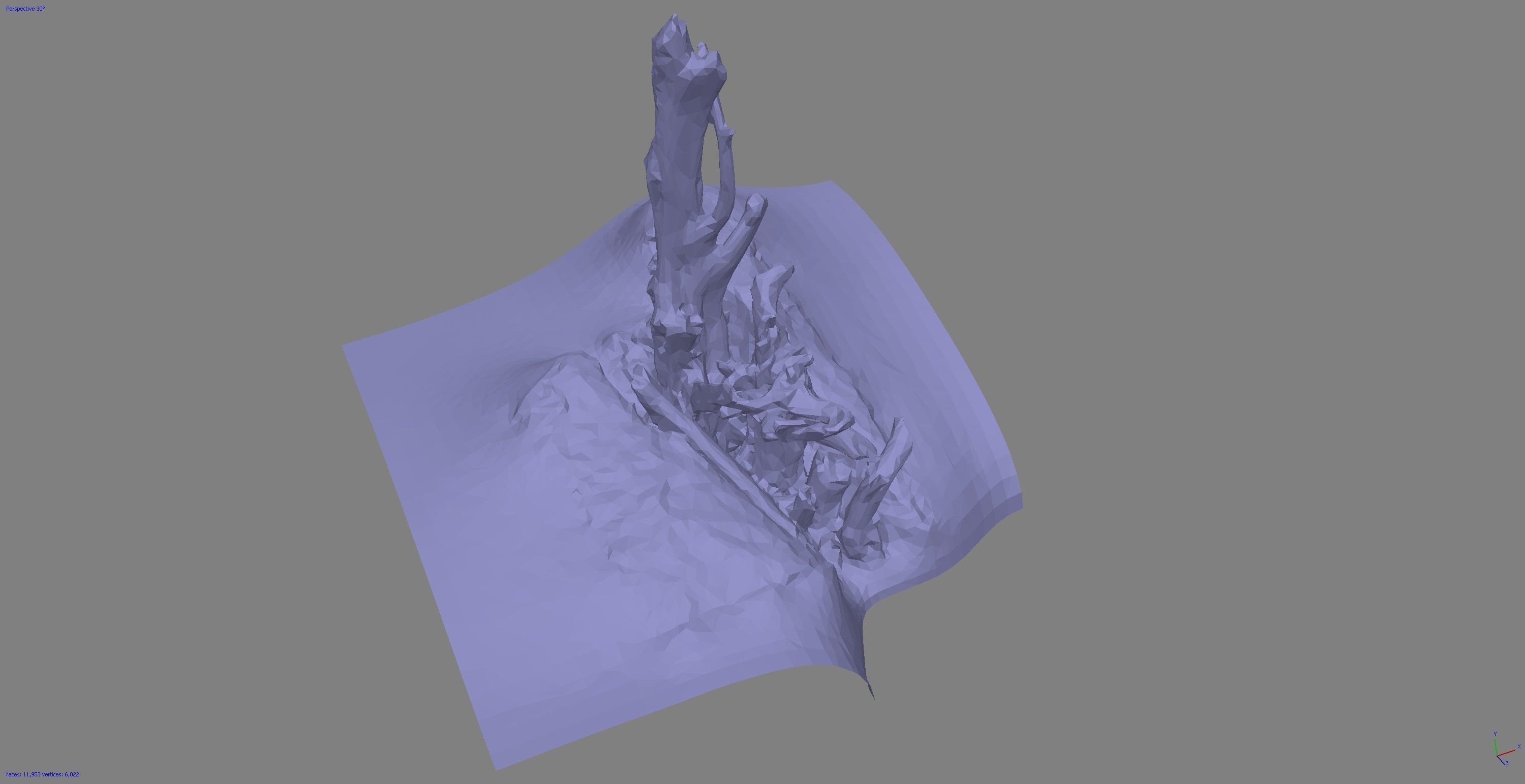 Dead tree on a rock Free low-poly 3D model_19