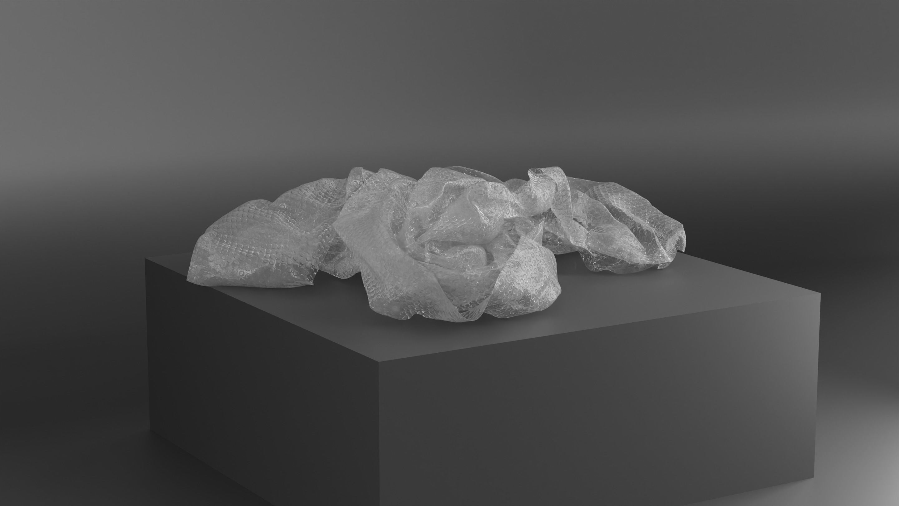 Bubble Wrap Objects 3D model_4