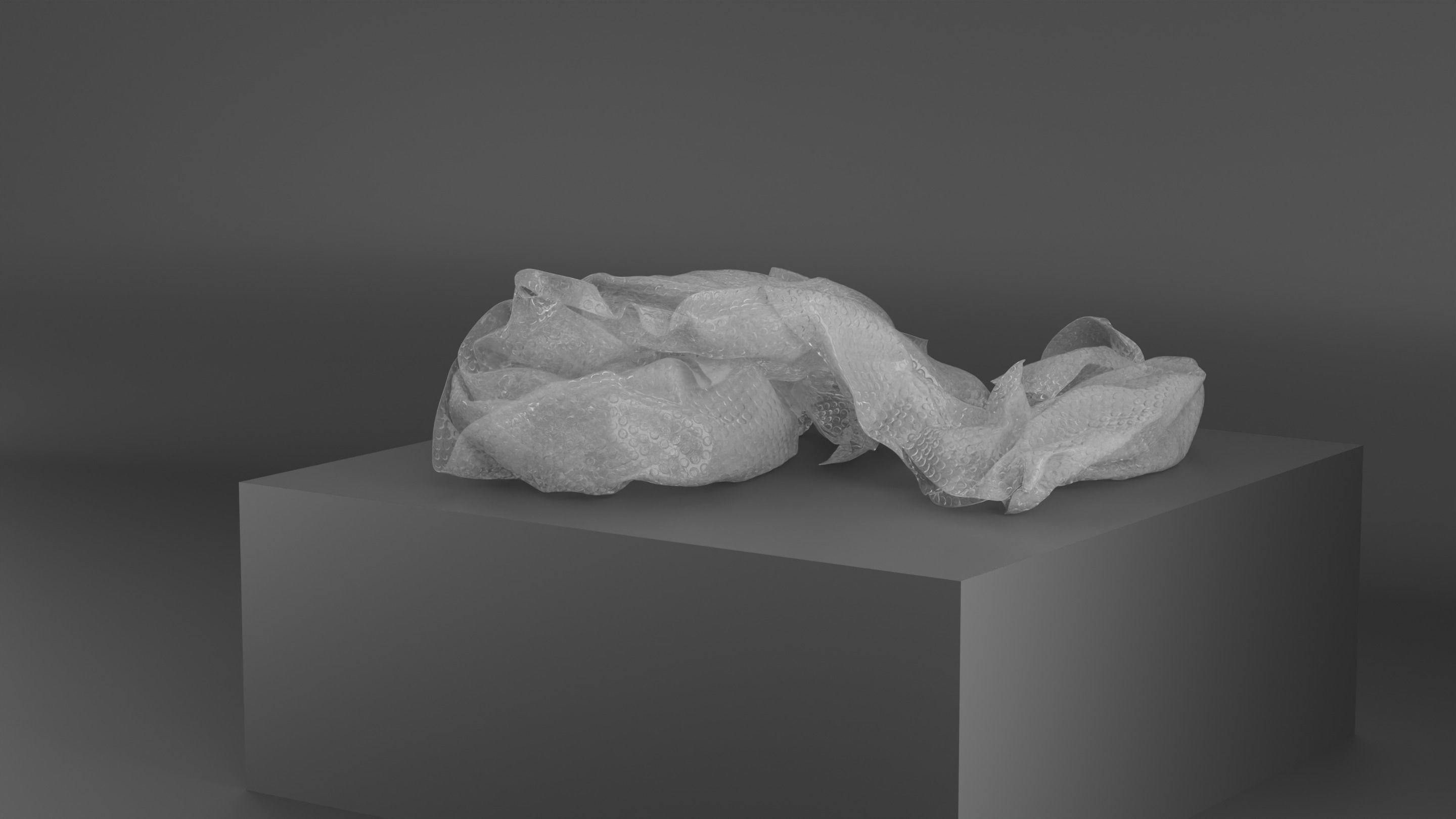 Bubble Wrap Objects 3D model_5