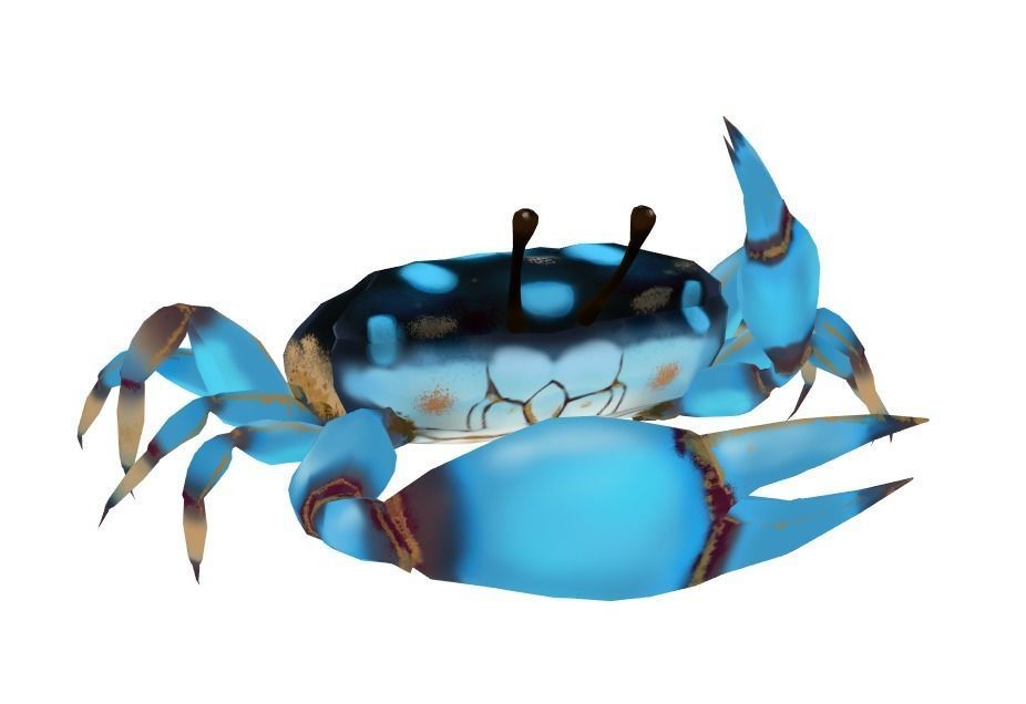 Cute Crab Low-poly 3D model_1
