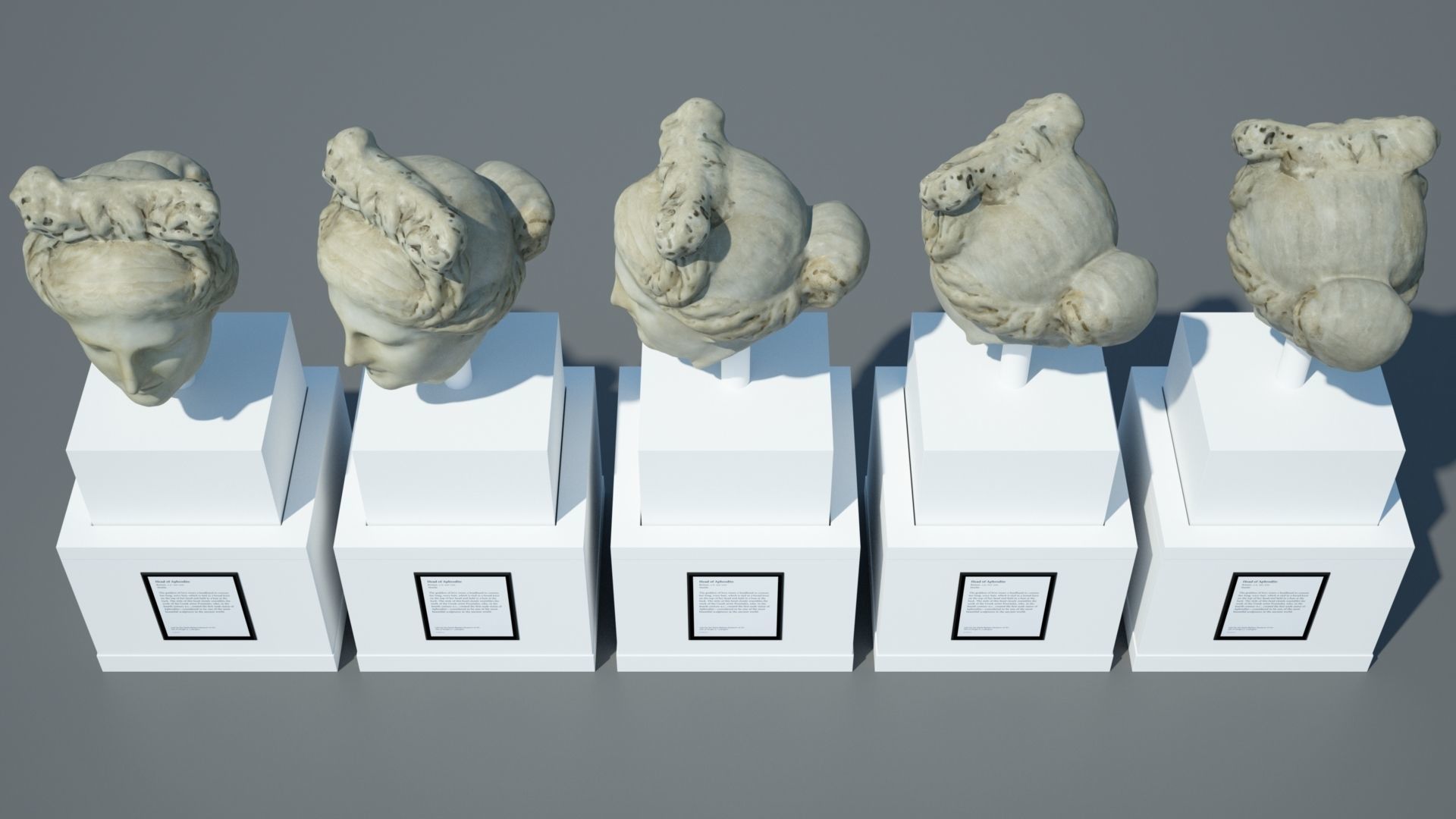 Head of Aphrodite 3D model_9