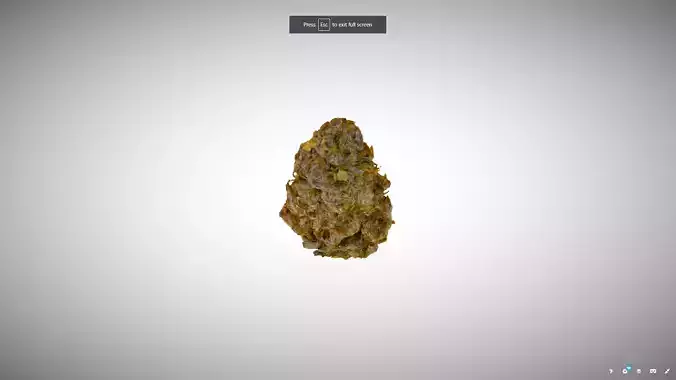 Marijuana Flower 1