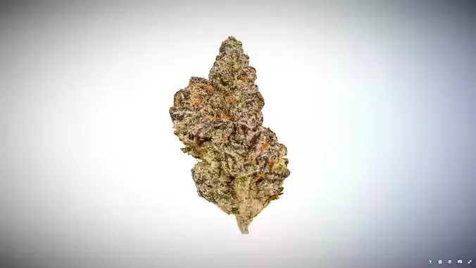 Marijuana Flower 2 3D model