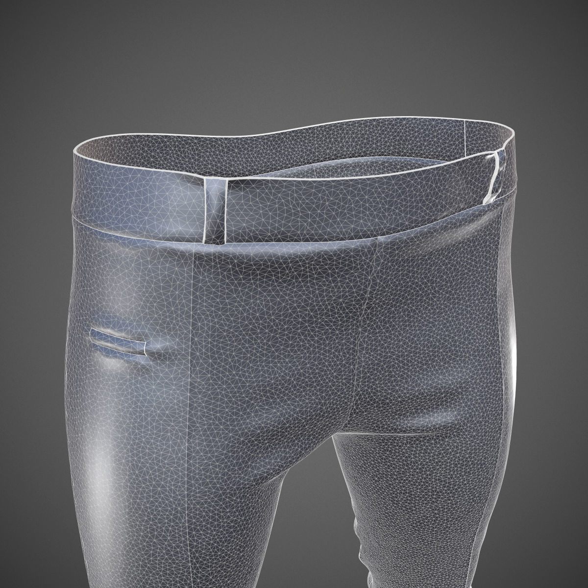 Suit Pants 3D model_10