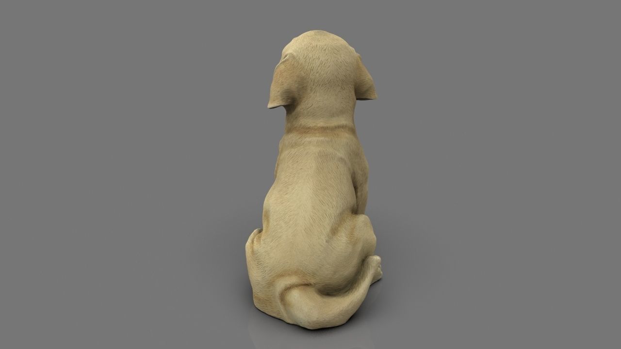 LABRADOR retriever Low-poly 3D model_18