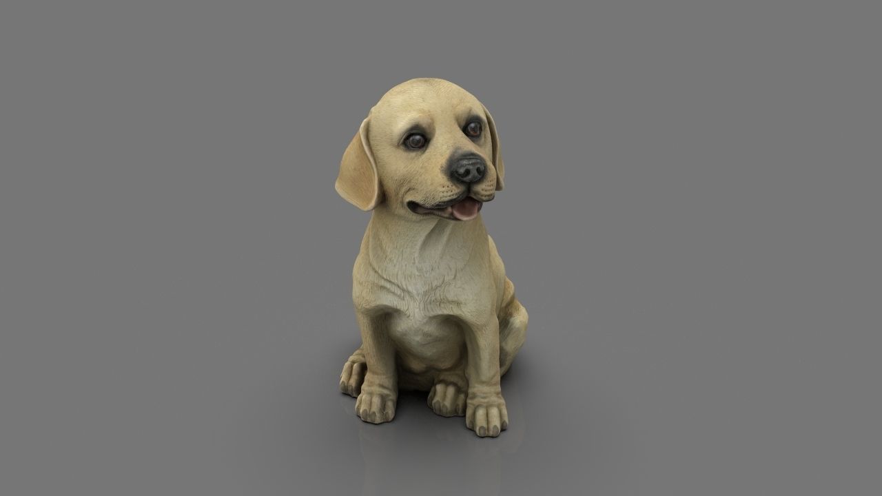 LABRADOR retriever Low-poly 3D model_14
