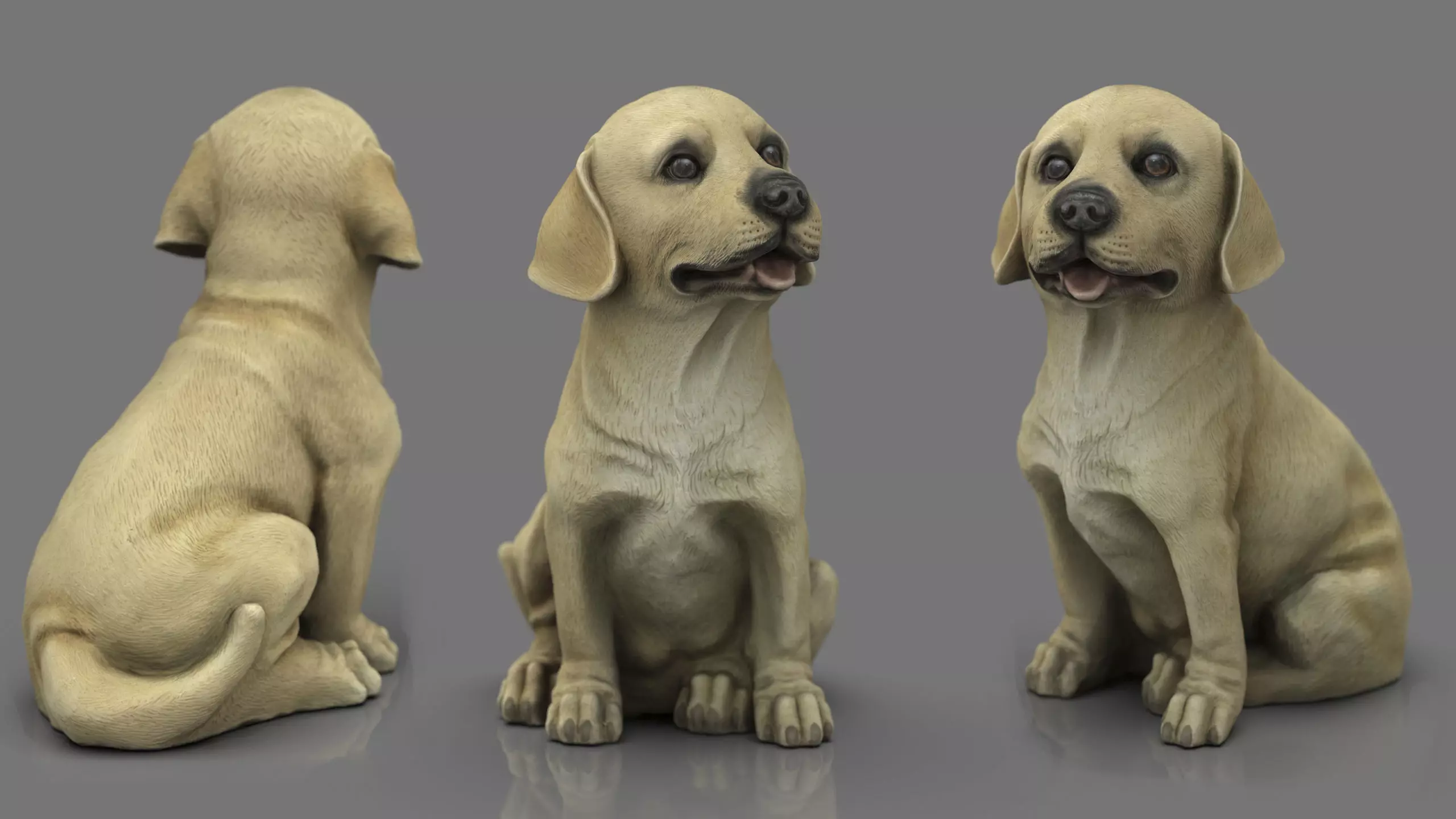 LABRADOR retriever Low-poly 3D model_0