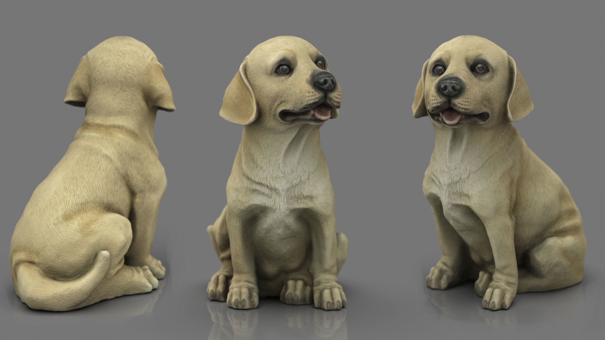 LABRADOR retriever Low-poly 3D model_19