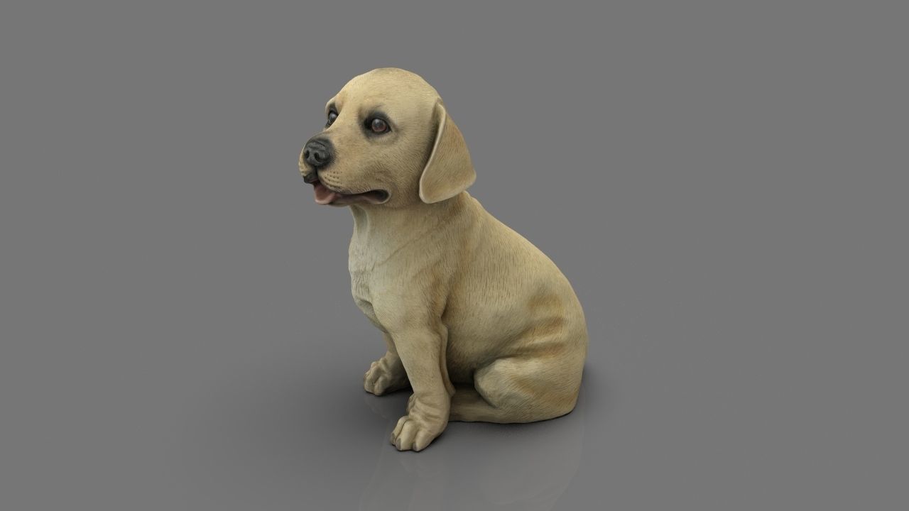 LABRADOR retriever Low-poly 3D model_15