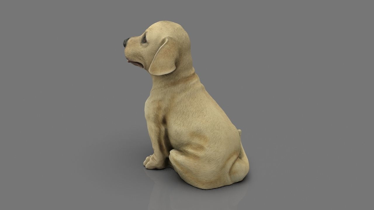 LABRADOR retriever Low-poly 3D model_13