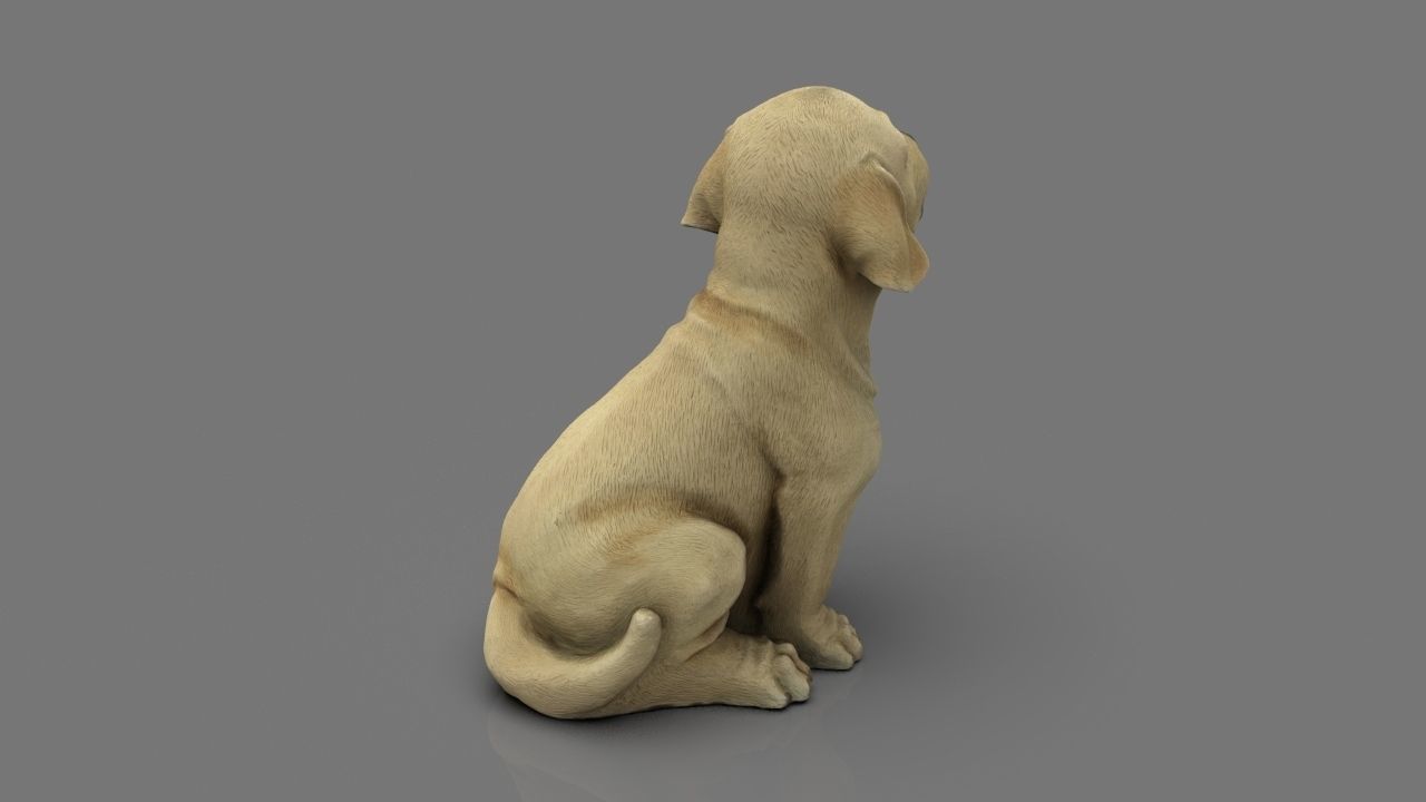 LABRADOR retriever Low-poly 3D model_17