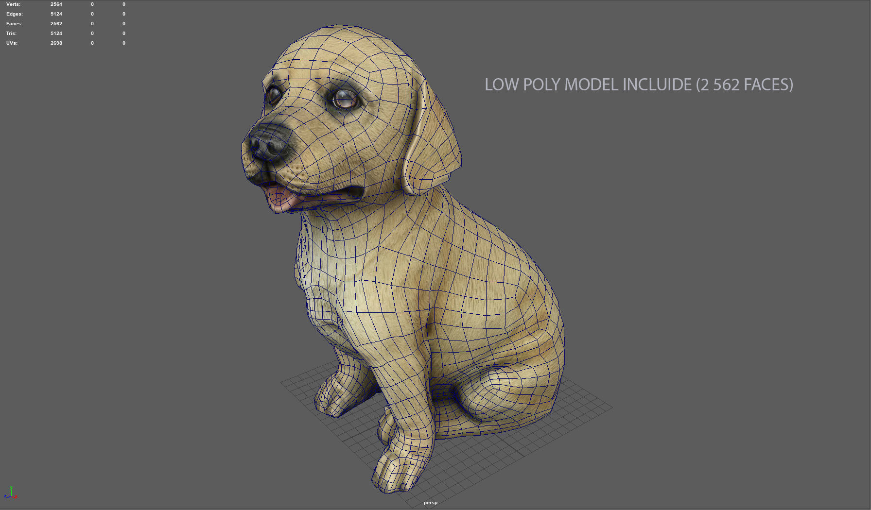 LABRADOR retriever Low-poly 3D model_9