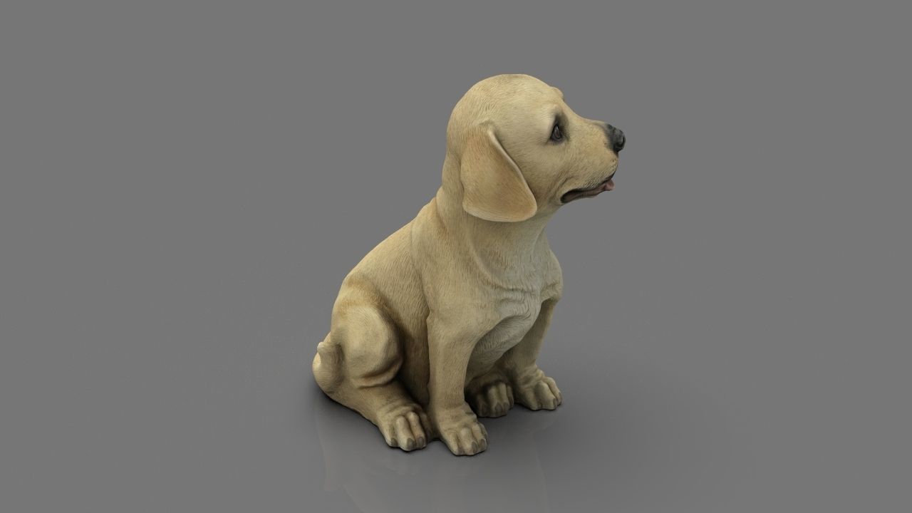 LABRADOR retriever Low-poly 3D model_16