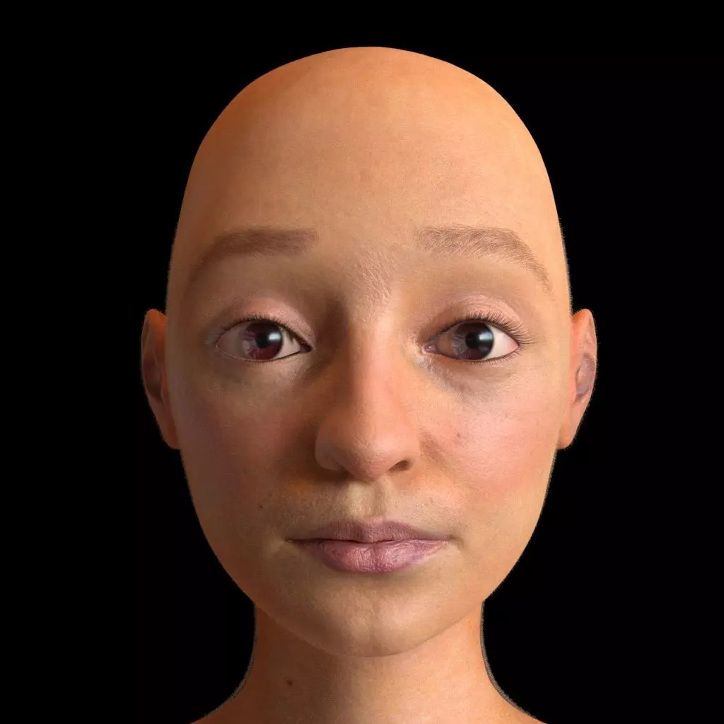 Face Texture  3D model_0