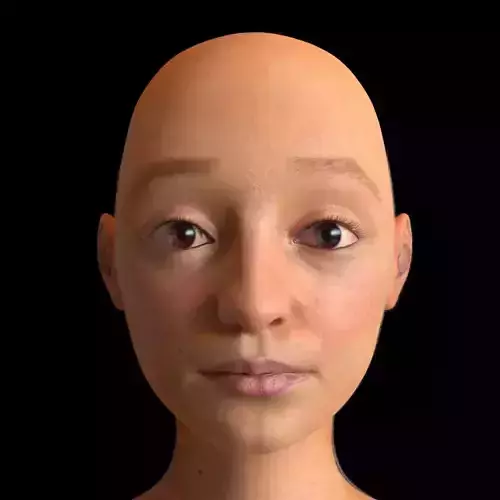Face Texture  3D model
