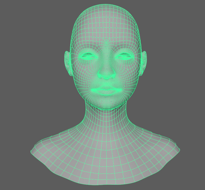Face Texture  3D model_2
