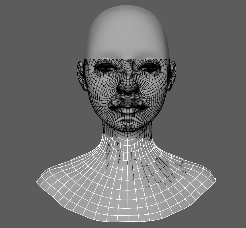 Face Texture  3D model_3