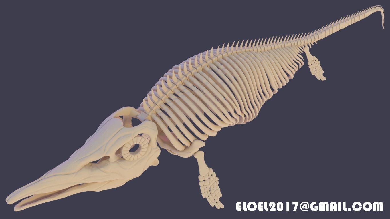 Ichthyosaurus