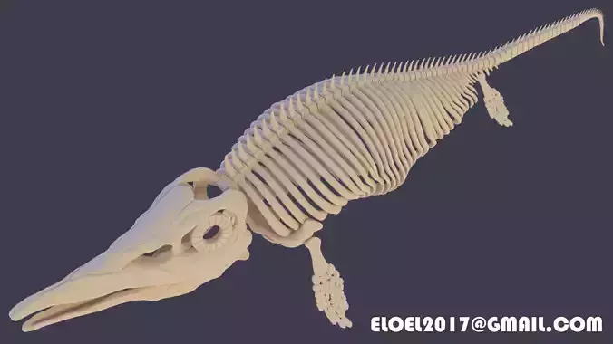 Ichthyosaurus crocodile skeleton 3D print model