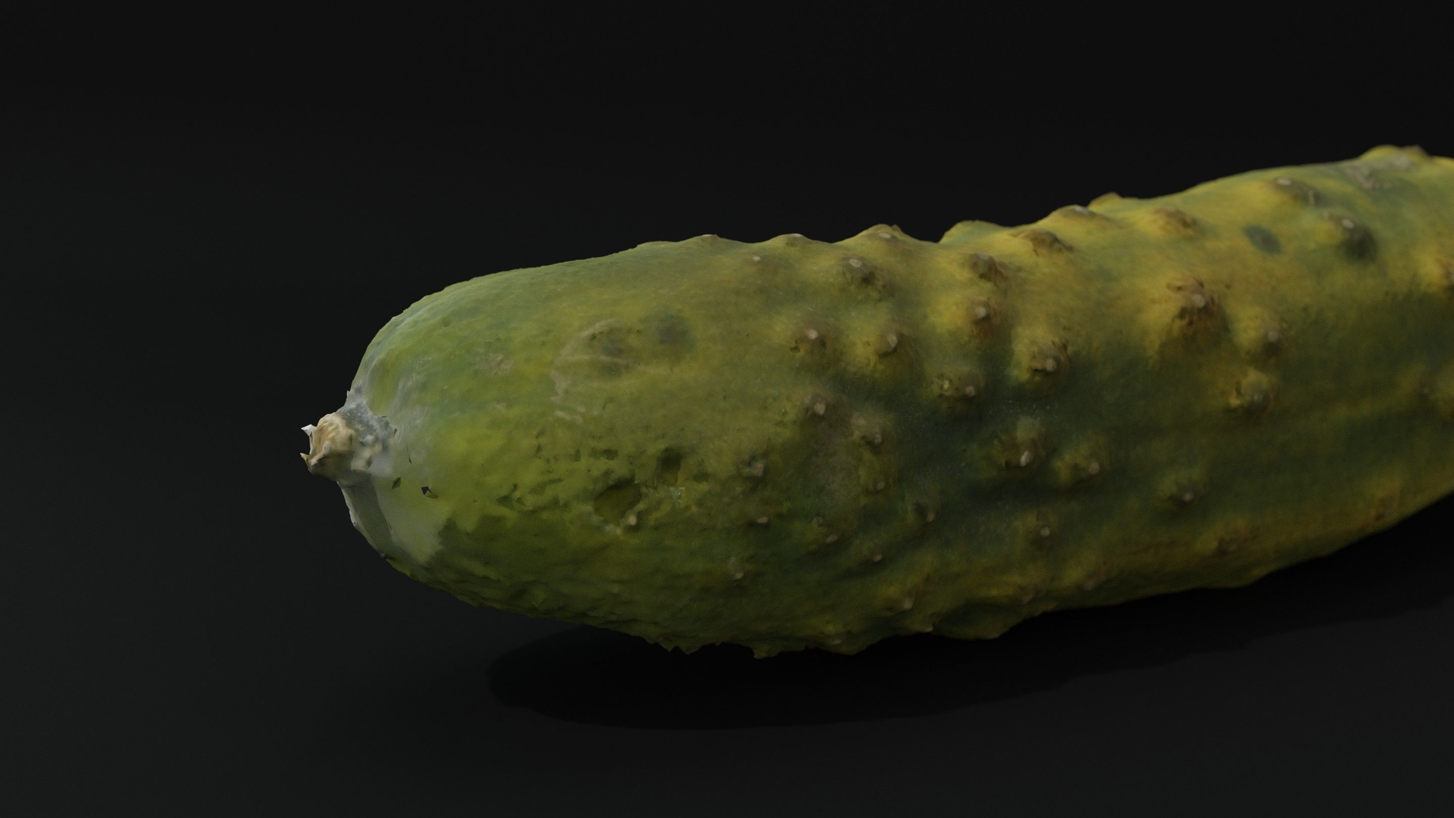 Scanned cucumber 3D model_2