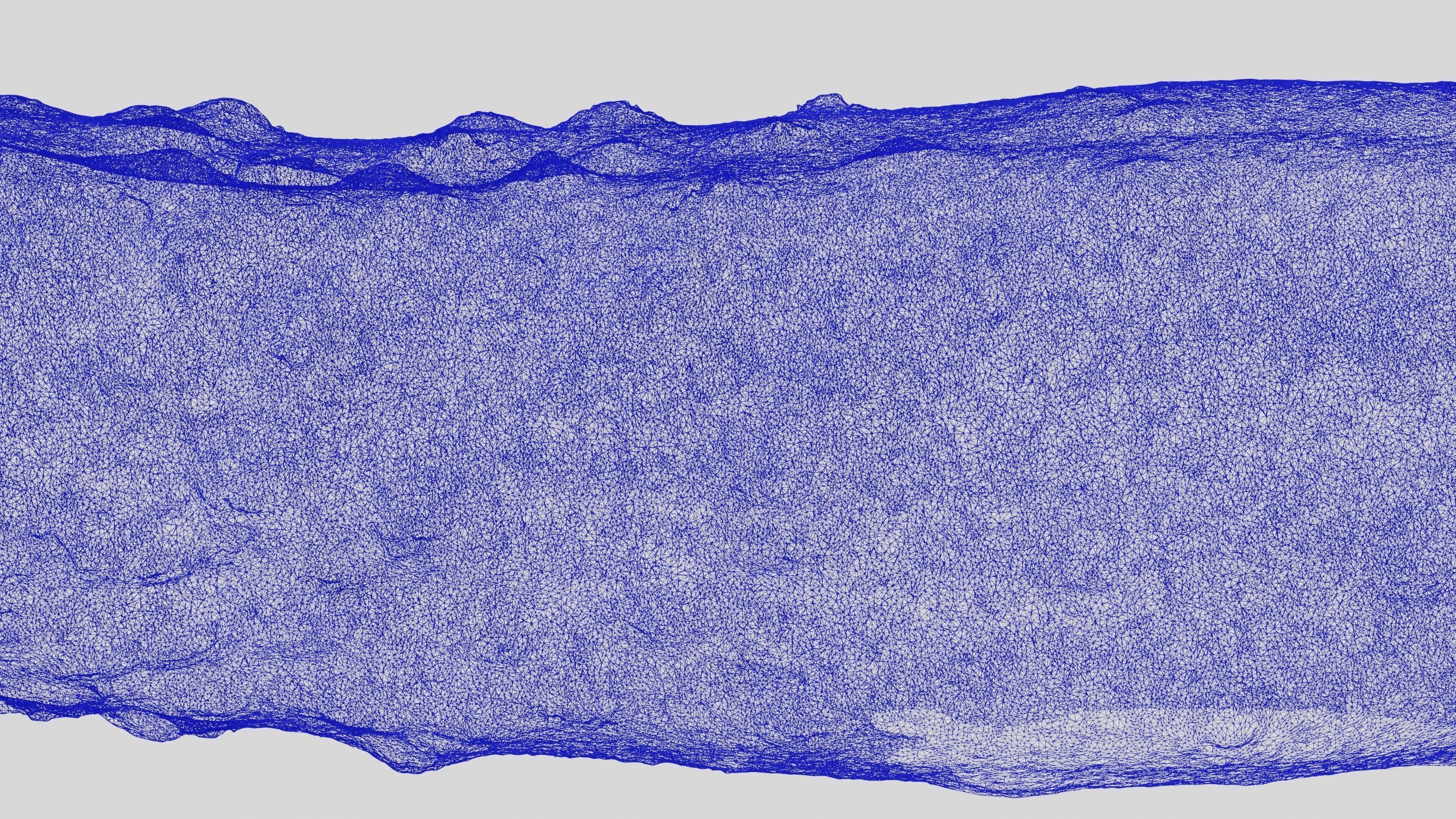 Scanned cucumber 3D model_5