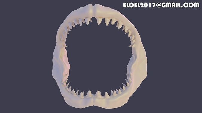 Shark jaw 3D print model