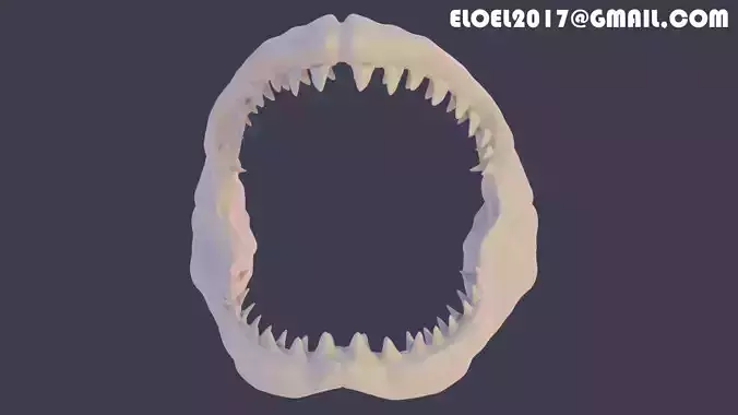 Shark jaw 3D print model