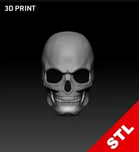 Skull Mask STL 3D Print Ready