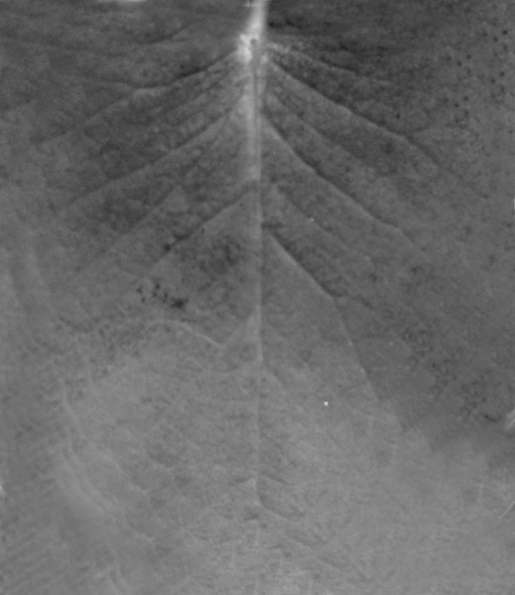 Modern Bedroom Interior 3D model_20