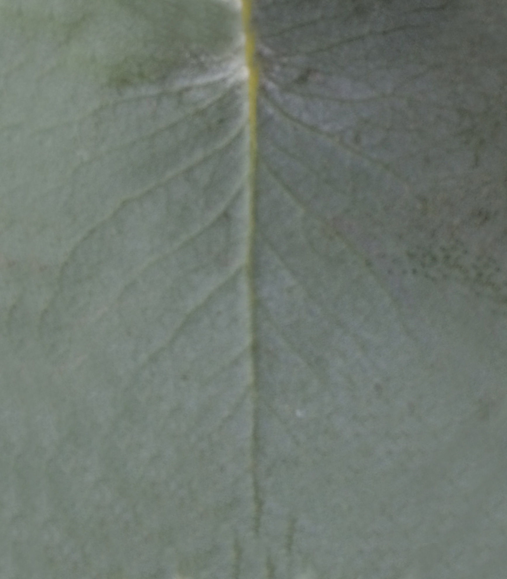 Modern Bedroom Interior 3D model_41