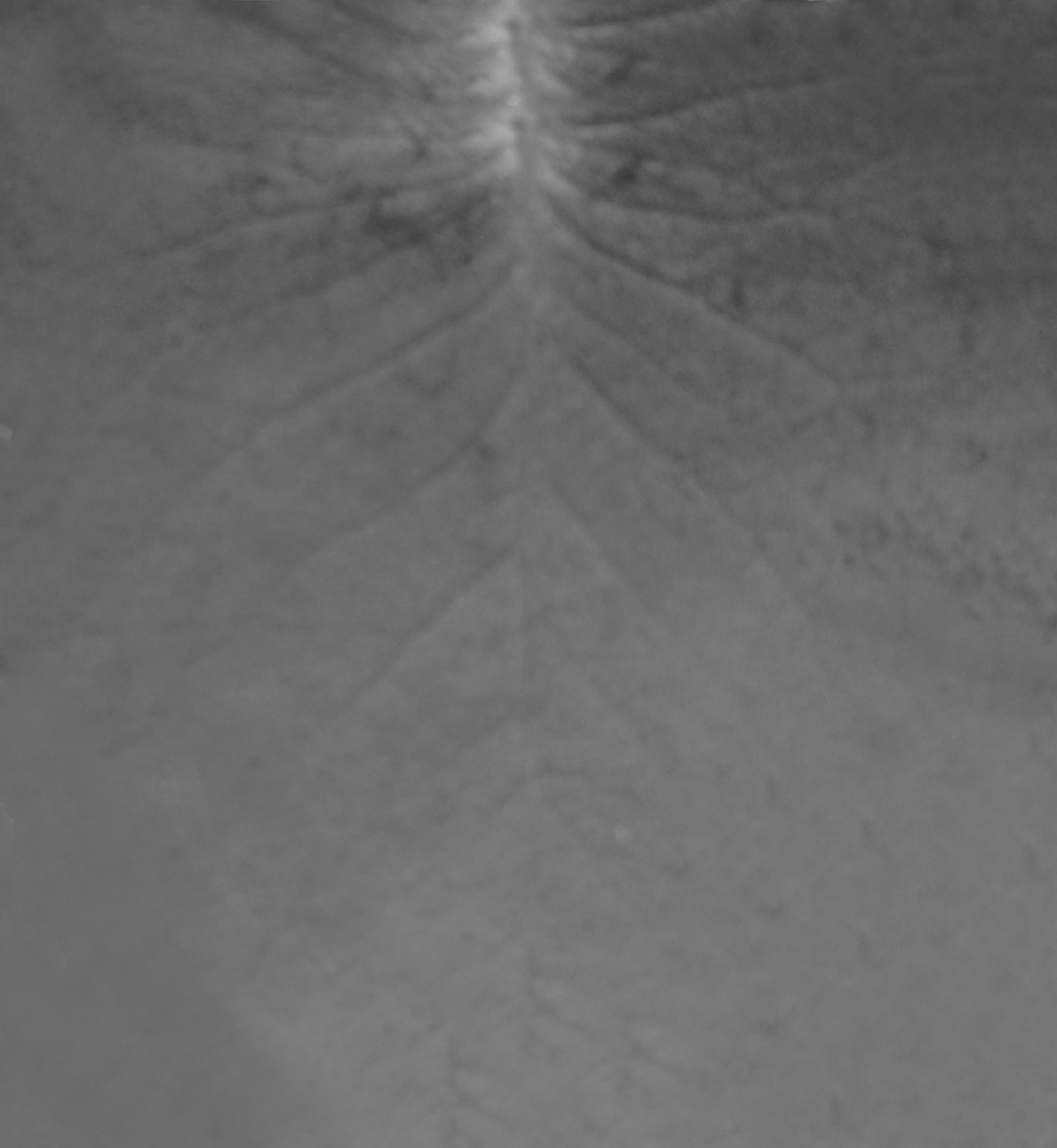 Modern Bedroom Interior 3D model_35