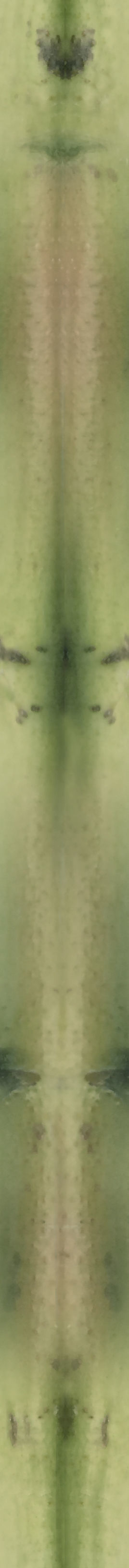 Modern Bedroom Interior 3D model_14