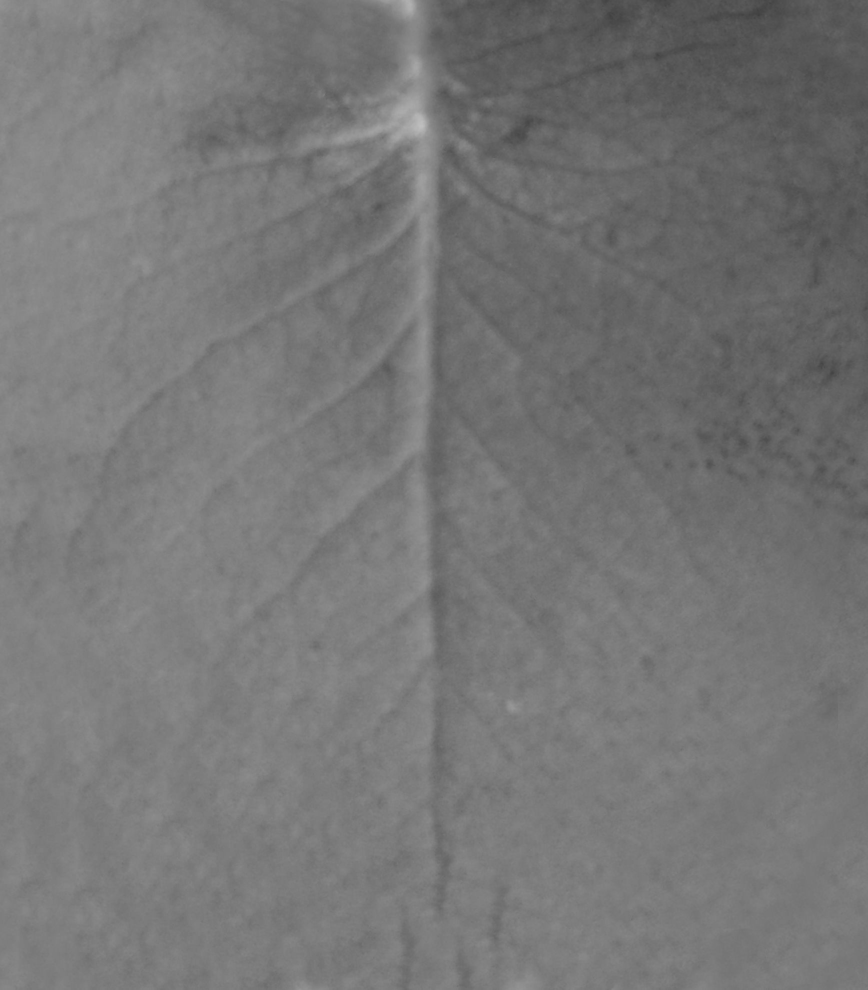 Modern Bedroom Interior 3D model_18