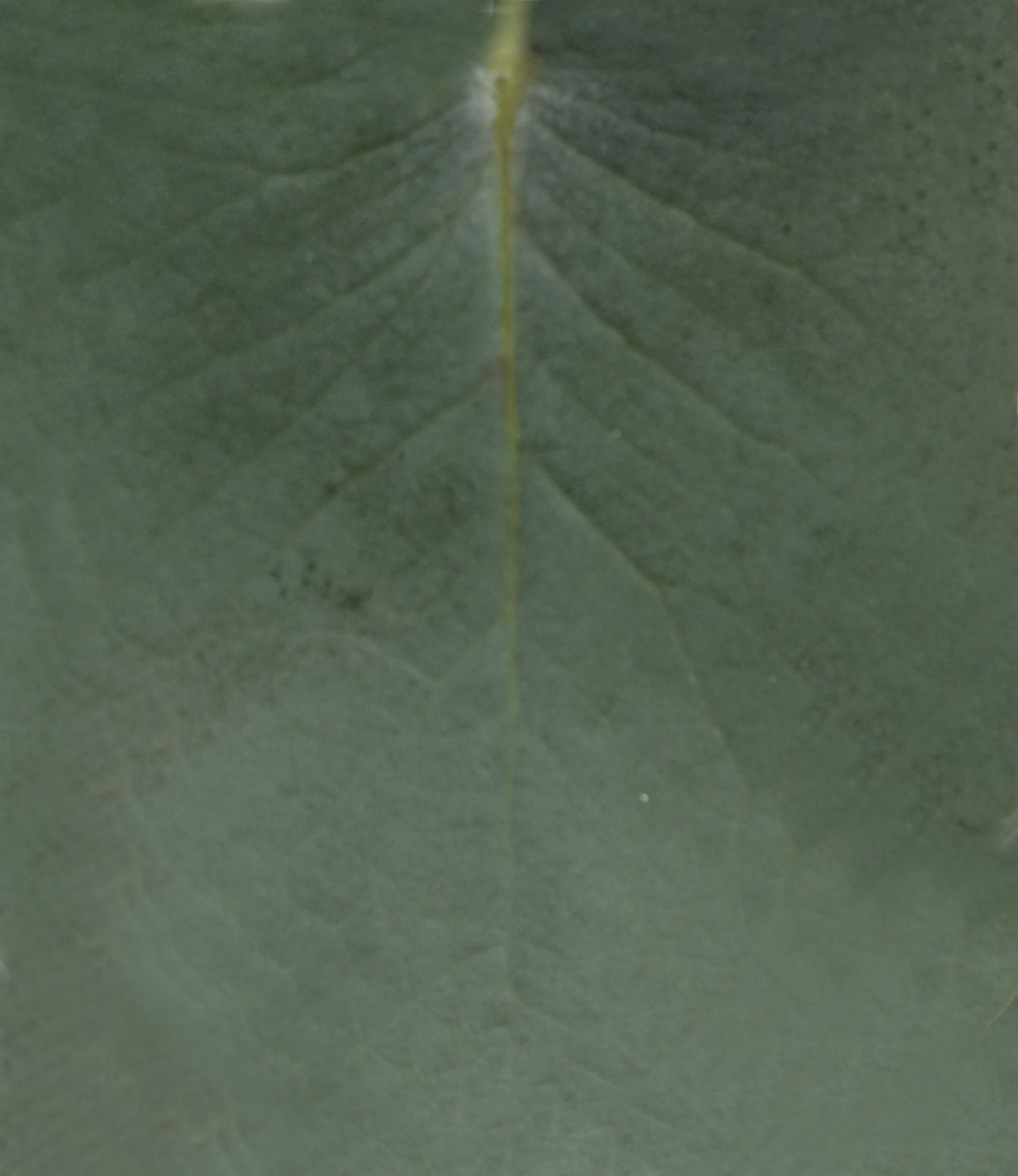 Modern Bedroom Interior 3D model_15