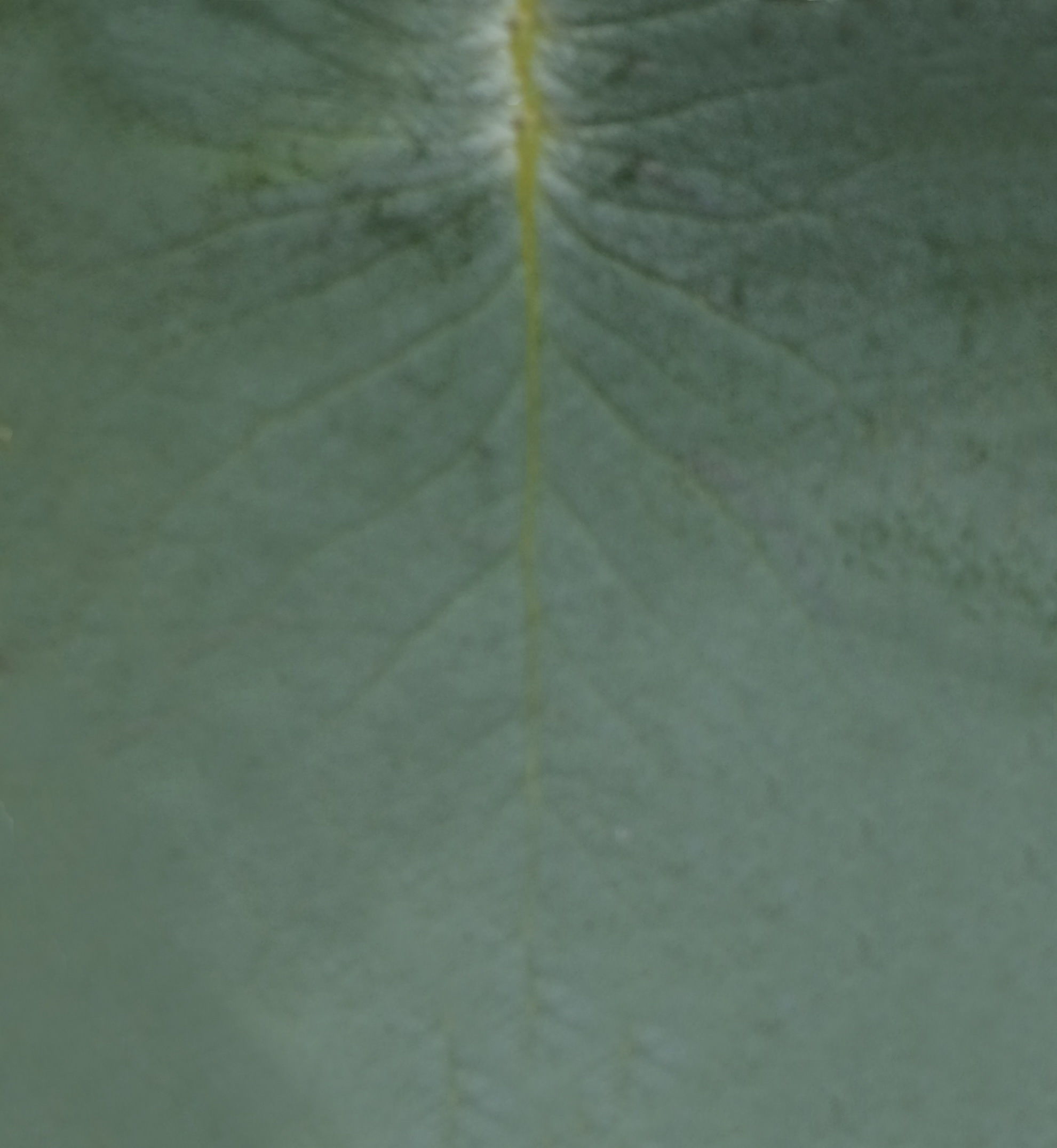 Modern Bedroom Interior 3D model_29