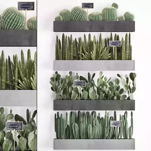 Cactus set wall decor vertical garden 43