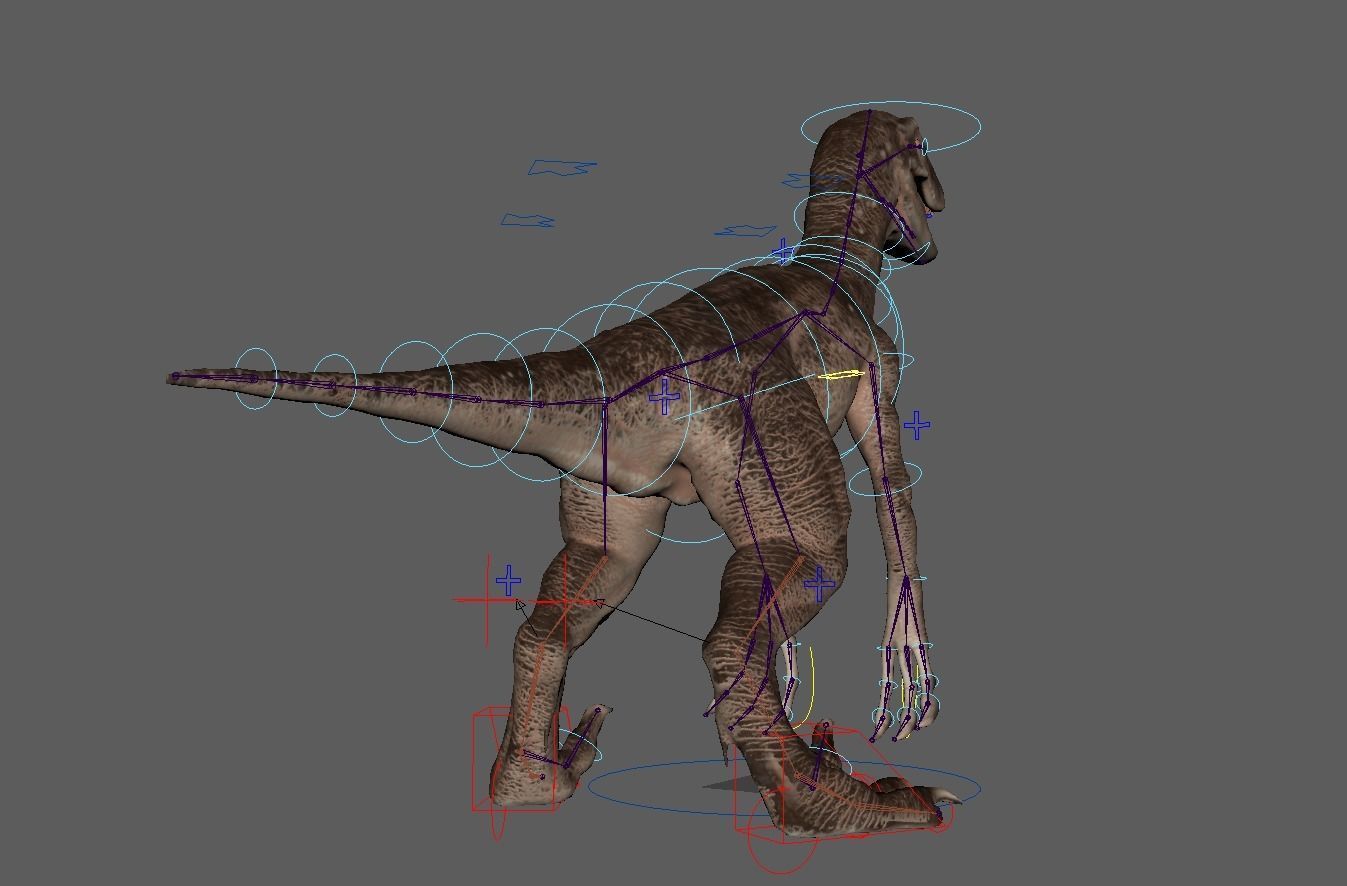 velociraptor dinosaur Low-poly 3D model_18