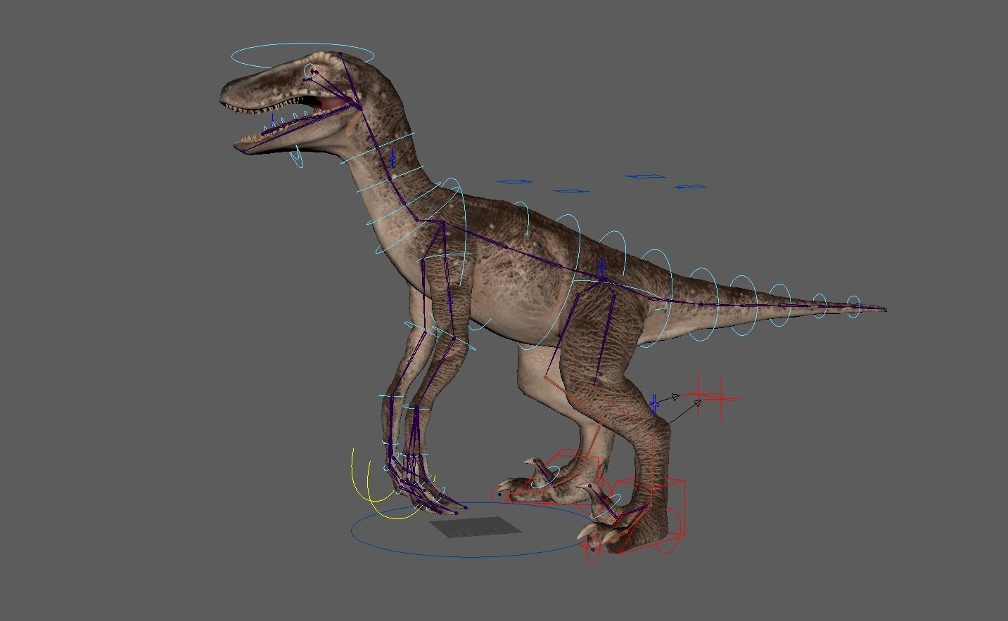 velociraptor dinosaur Low-poly 3D model_15