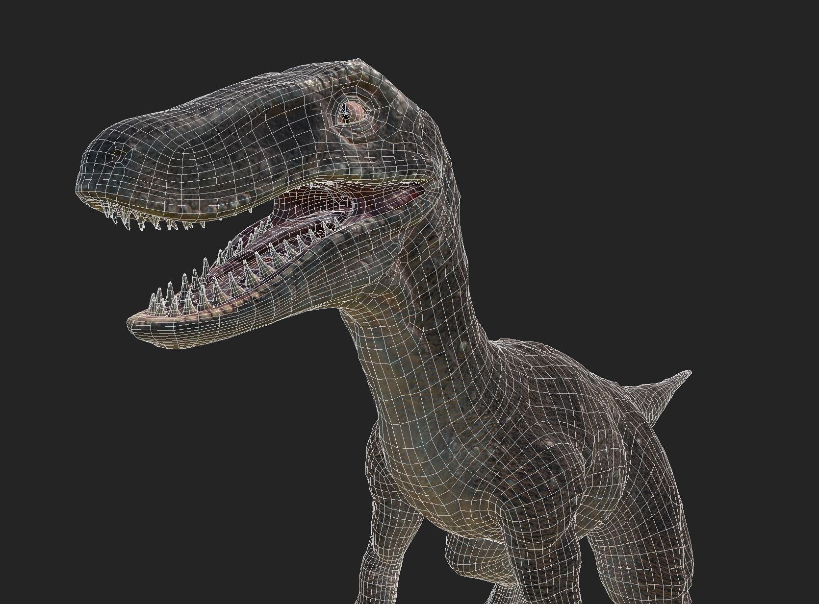 velociraptor dinosaur Low-poly 3D model_12