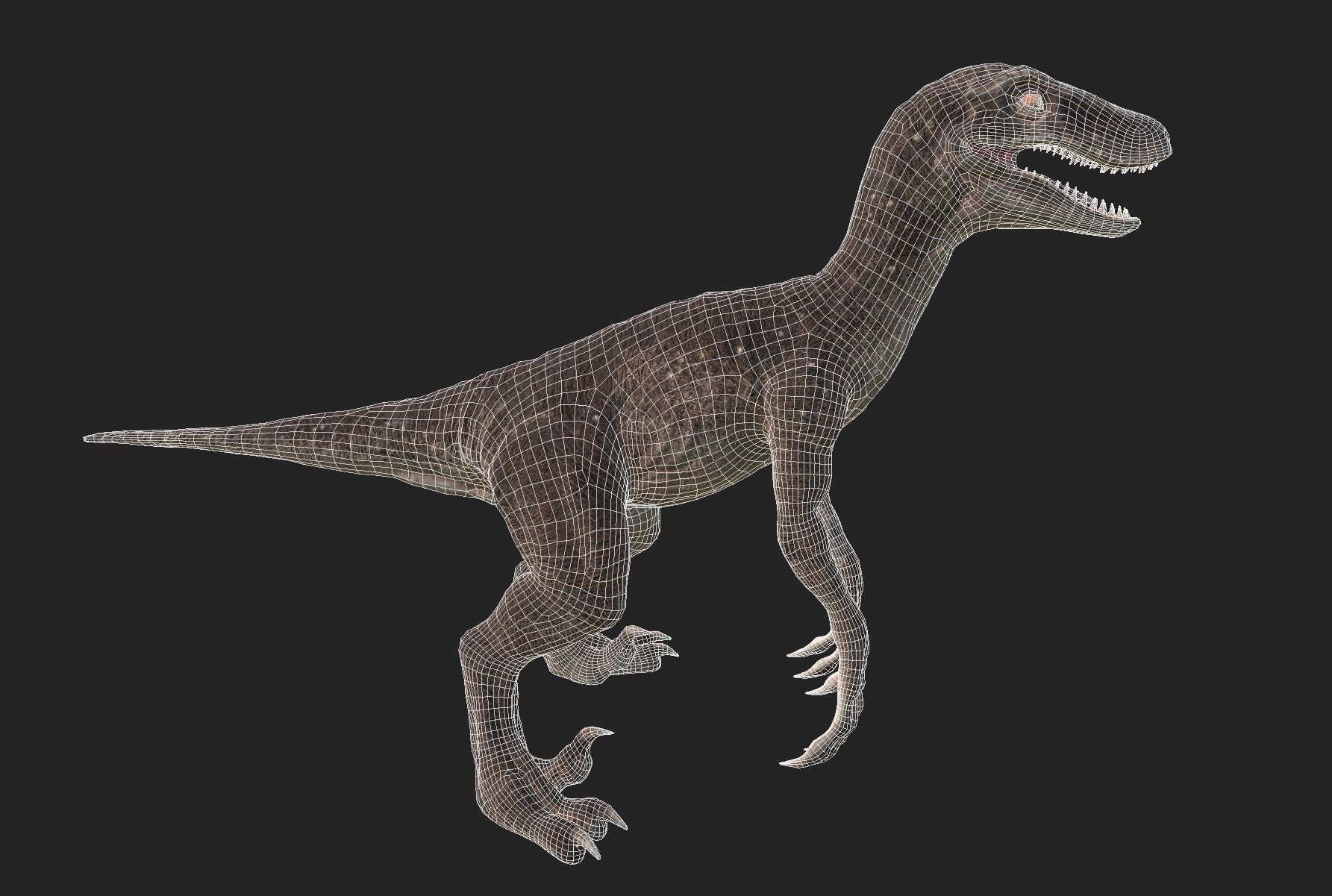 velociraptor dinosaur Low-poly 3D model_14