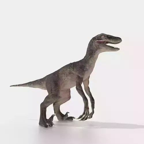 velociraptor dinosaur Low-poly 3D model
