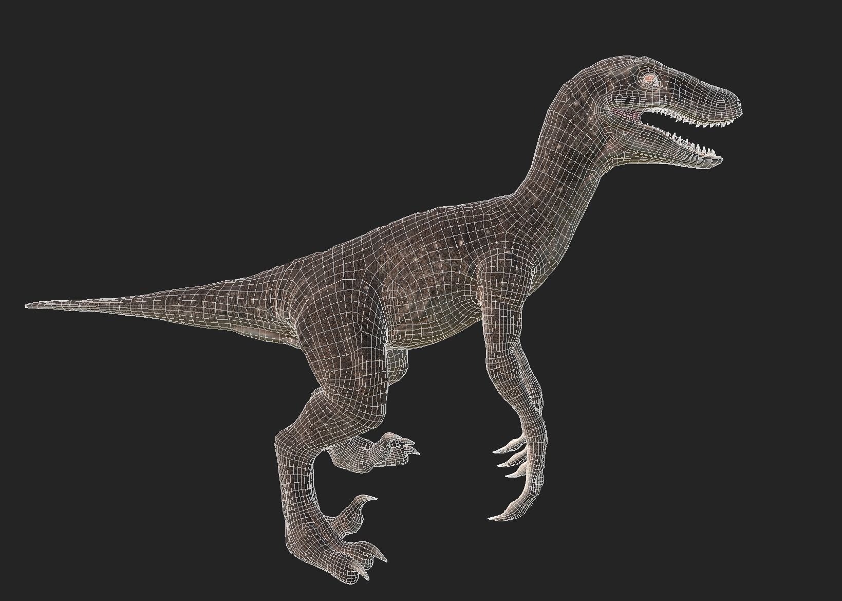 velociraptor dinosaur Low-poly 3D model_9