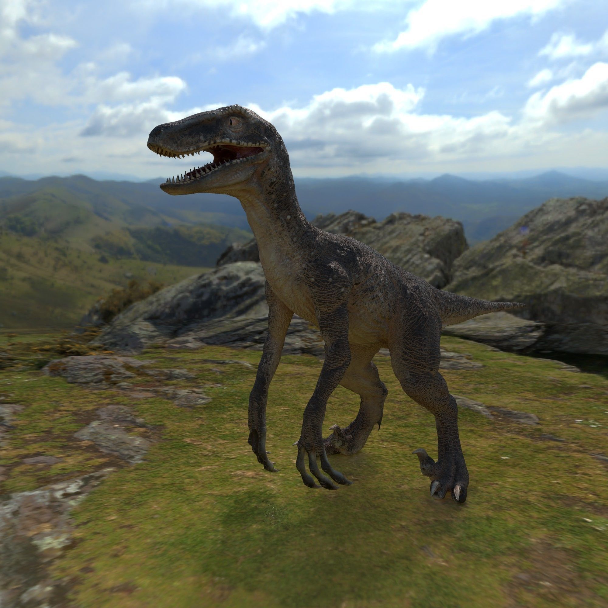 velociraptor dinosaur Low-poly 3D model_1