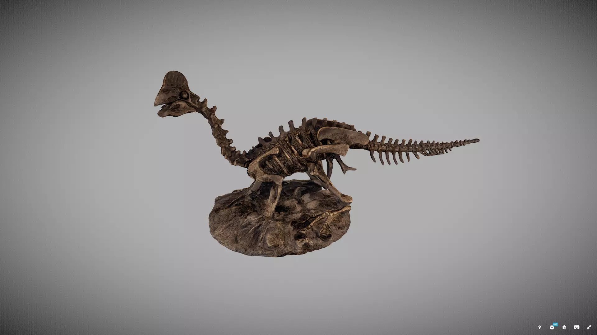 Dinosaur Fossil Statue 3D model