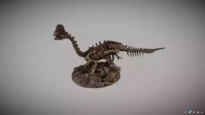 Dinosaur Fossil Statue
