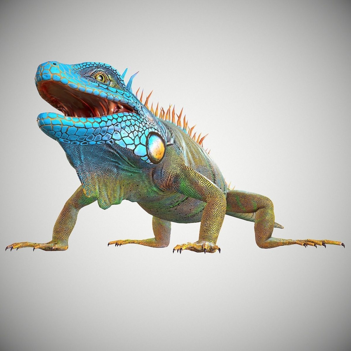 American Iguana Low-poly 3D model_6